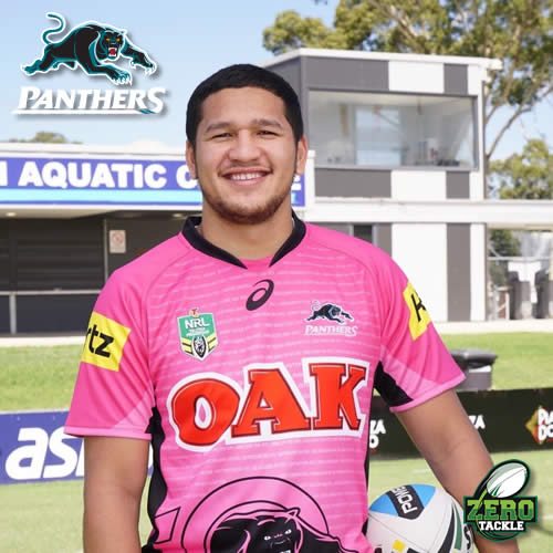 Buy 2022 Penrith Panthers NRL Alternate Jersey - Mens - NRL Jerseys