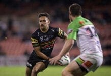 NRL Rd 13 - Panthers v Raiders