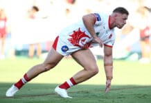 NRL Rd 2 - Dragons v Panthers