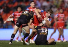 NRL Rd 13 -  Panthers v Dragons